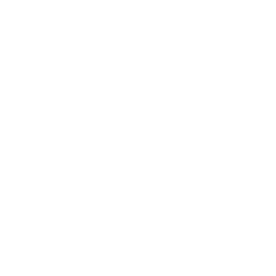 icons8-shopify-250